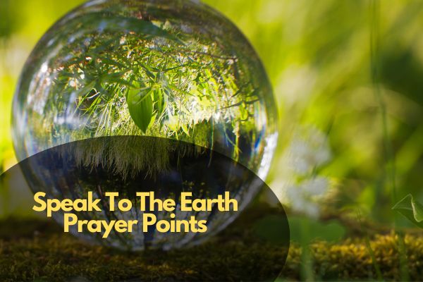 Speak To The Earth Prayer Points