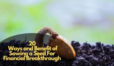 Ways and Benefit of Sowing a Seed For Financial Breakthrough