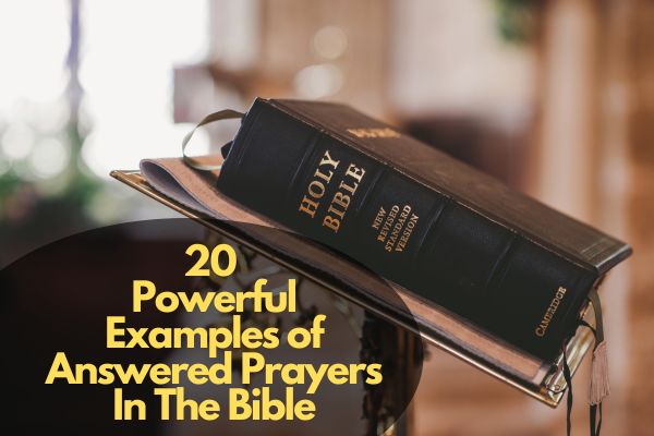 Powerful Examples of Answered Prayers In The Bible