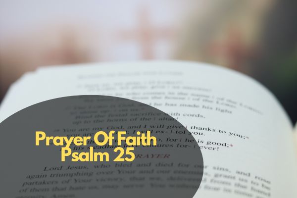 Prayer Of Faith Psalm 25
