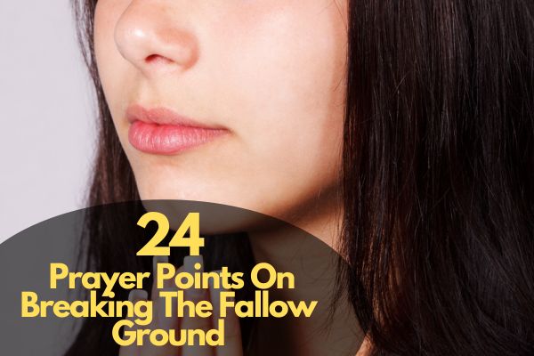 Prayer Points On Breaking The Fallow Ground