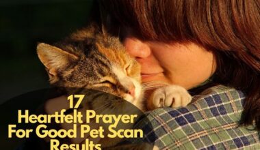 Prayer For Good Pet Scan Results