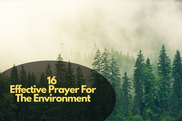 Prayer For The Environment