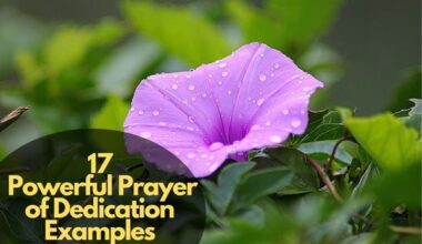 Powerful Prayer of Dedication Examples