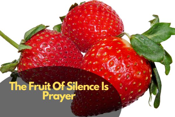 The Fruit Of Silence Is Prayer