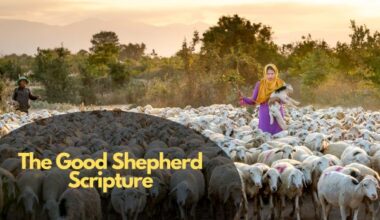 The Good Shepherd Scripture